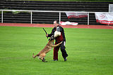 Aramis Red Devils Dog