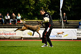 Erja-Ella Marshall Dogs