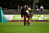 Erja-Ella Marshall Dogs