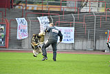 Granit vom Spektefeld