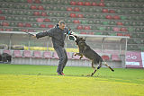 Figo vom Heiligental