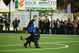 Vucan von Peroh