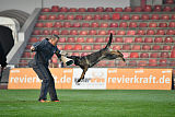 Fly von Termorgen