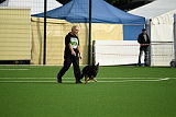 Asti vom Hunde-Hager