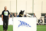 Asti vom Hunde-Hager