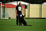 Asti vom Hunde-Hager