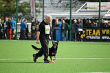 Asti vom Hunde-Hager