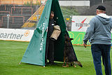 Sid vom Team bösen Bruderblick