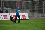 Sid vom Team bösen Bruderblick