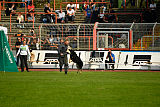 Pancho vom Marksbachtal
