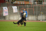 Bosco vom Wolfsbankring