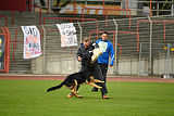 Bosco vom Wolfsbankring