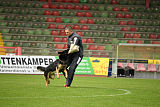 Bruno vom Wolfsstolz