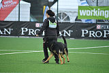 Xoltan von Peroh