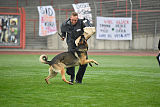 Horax vom Wolfsheim
