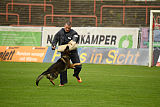 Chicco vom Weinbergblick