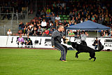 Max vom Mochauer Land