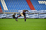 Perla z Vojanky