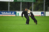 Dux vom Luisenhof