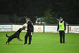 Dux vom Luisenhof