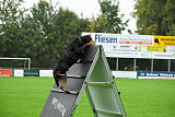 Dux vom Luisenhof