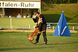 Ashanti von den goldenen Wölfen