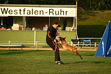 Ashanti von den goldenen Wölfen