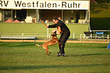 Ashanti von den goldenen Wölfen