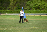 Phelan du Loups du Soleil
