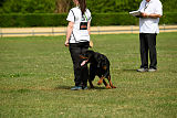 Tyson (Konow)
