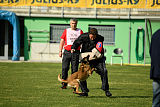 Neli Running Wild
