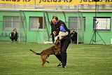 Leo MileHund