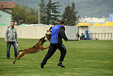 Leo MileHund