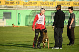 Al Campo Graf Czech