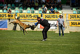 Al Campo Graf Czech