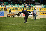 Al Campo Graf Czech