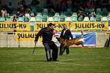 Al Campo Graf Czech
