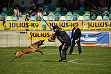 Al Campo Graf Czech