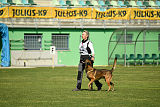 Parendo Vinces Captain Koons