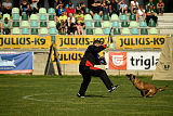 Pysäkin Fanni