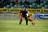 working-dog Bradana