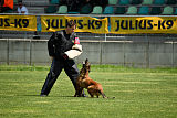 working-dog Bradana