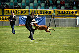 working-dog Bradana