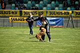 working-dog Bradana
