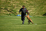 working-dog Bradana