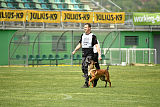 working-dog Bradana