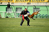 Dragon Veranis K-9 Dog Center