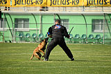 Dragon Veranis K-9 Dog Center