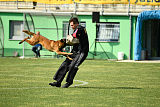 Dragon Veranis K-9 Dog Center
