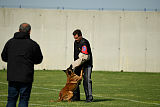 Dragon Veranis K-9 Dog Center